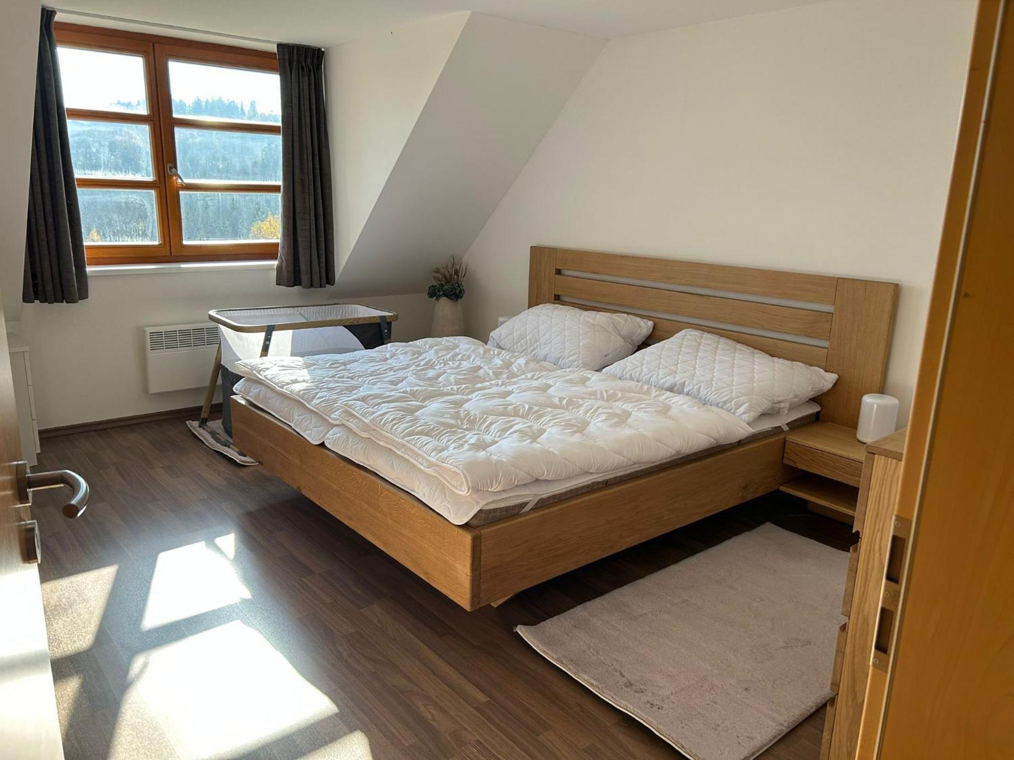 Horsky U Lesa Apartment Ricky (Hradec Kralove)